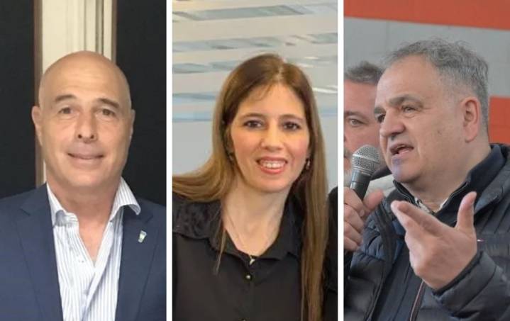 Discapacidad: cómo se alinearon los senadores de San Luis en la votación