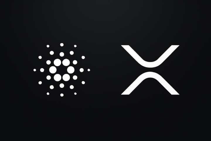 Cardano Founder Reveals Plans For XRP And Ripple USD