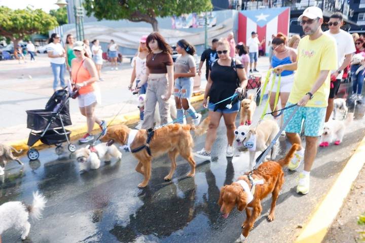 Municipio de Cataño celebrará cuarta edición de “Mascotas All Star”