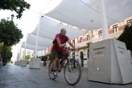 Plantean arboleda en la Avenida Constitución y anuncian nuevos toldos para Semana Santa