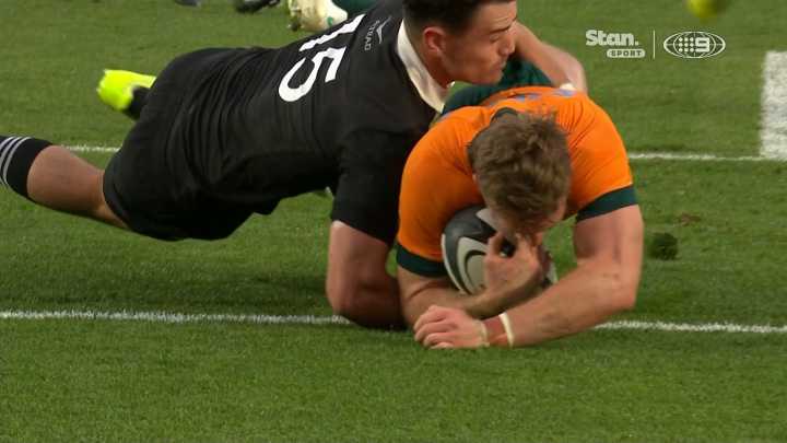 Bledisloe Cup 2025: All Blacks vs Wallabies highlights, Harry Potter try video