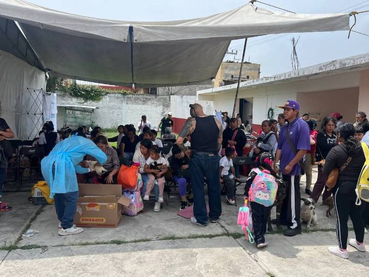 Ixtapaluca impulsa jornada de esterilización