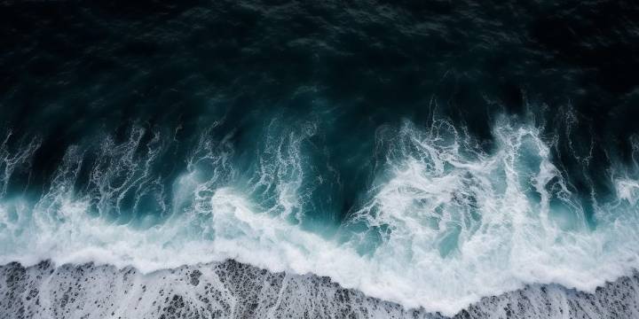 La “bomba biológica” del océano Antártico: revelan el rol clave de una microalga en la captura de carbono