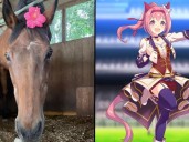 Murió Haru Urara, la querida yegua de carreras que inspiró al personaje de Umamusume
