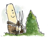 Darrell Blackwelder: Pruning in the fall