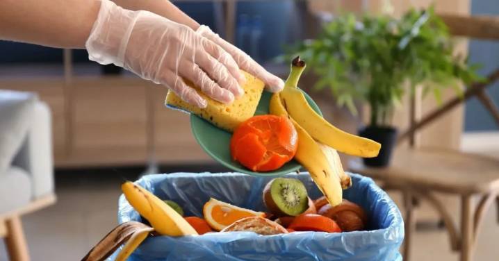 Chilenos botan frutas, verduras y pan: Día Internacional de Concienciación sobre la Pérdida y el Desperdicio de Alimentos