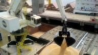 La liquidación de divisas del agro bajó fuerte en agosto y alcanzó los US$1818 millones