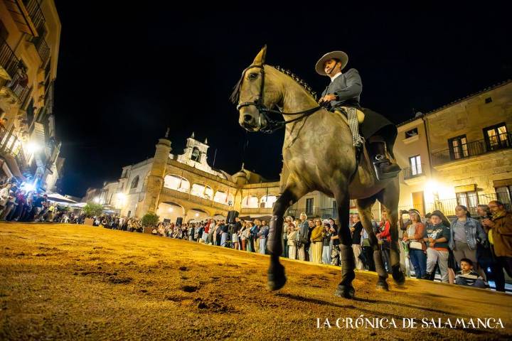 En imágenes | Feria del Caballo de Ciudad Rodrigo