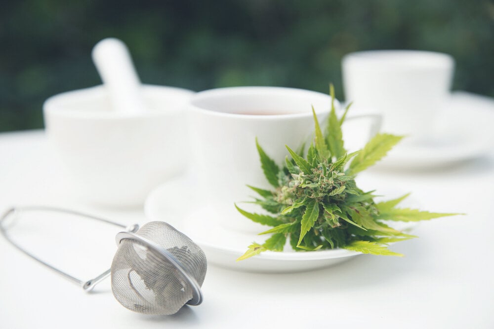 ¿Será el CBD recetado pronto como la vitamina del futuro?