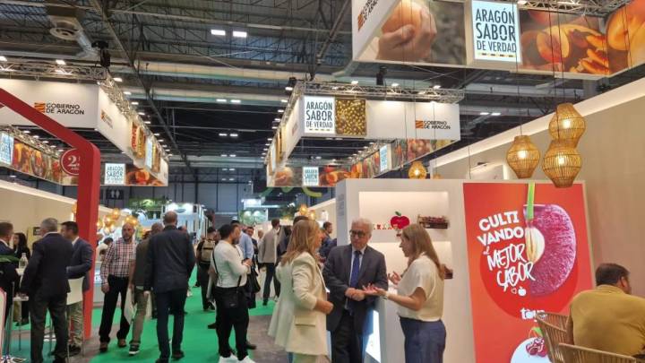 Aragón saca pecho de su potencial hortofrutícola tras una cosecha "normal" marcada por el pedrisco