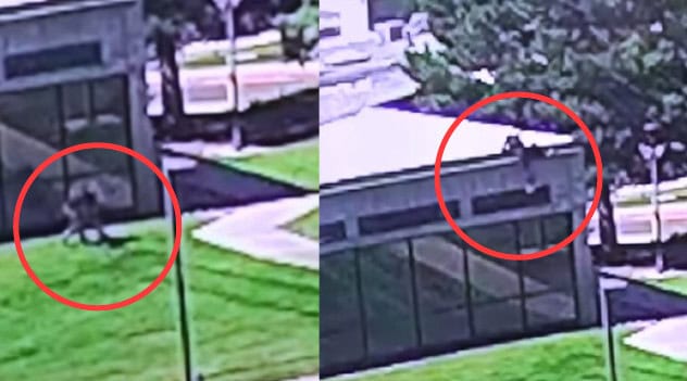 New Video And Photos Of Suspect Released As Manhunt For Charlie Kirk's Assassin Intensifies