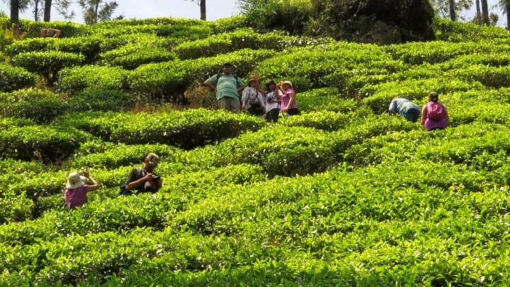 International Coffee Day Escapes: 5 Stays Every Coffee Lover Will Adore