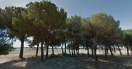 La Policía encuentra el cadáver de un joven de 29 años en un pinar de Valladolid