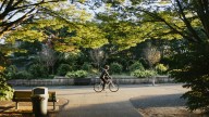 Descubierto un nuevo beneficio económico de montar en bicicleta