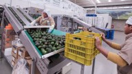 Puebla registra disminución de 18.7% en exportaciones durante el segundo trimestre de 2025