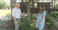 How to implement a 'ColoradoScape' into your yard