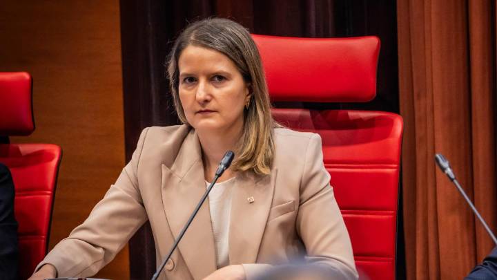 La Generalitat gestionó las ayudas sociales “con un software que equivalía a un bloc de notas”