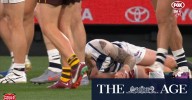 Cats star forced off early in prelim