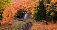 These are the best roads in metro Detroit to see fall colors in 2025