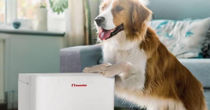 Dehumidifier that's 'so efficient at drying clothes' praised by shoppers