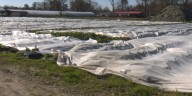 Frost advisories vanish with the end of growing season