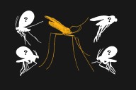 The search for Earth’s most mysterious creatures is yielding extraordinary results