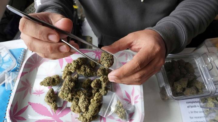 A look at where Thailand's cannabis laws stand