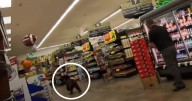 Shoppers Stunned as Bear Bursts into Grocery Store and Chaos Ensued