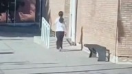 Se entregó la adolescente que estaba atrincherada y armada en una escuela La joven, que tiene 14 años, entregó el arma y fue derivada a un hospital de la zona. Está sana y no hubo heridos.