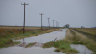 El Gobierno oficializó la emergencia agropecuaria para 12 localidades bonaerenses y la provincia de San Juan