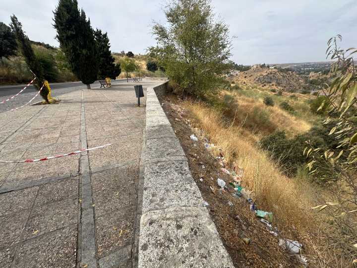 El PSOE insiste en convocar la Comisión de Medio Ambiente para hablar de talas, plagas y suciedad