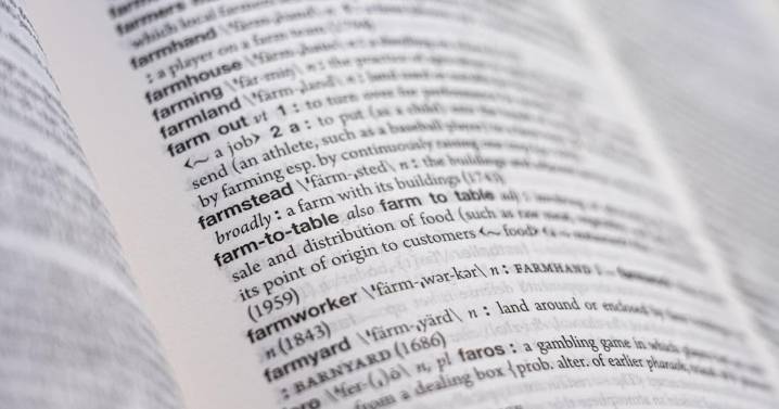 Hard pass. Cold brew. Dad bod. Merriam-Webster adds over 5,000 words to 'Collegiate' dictionary
