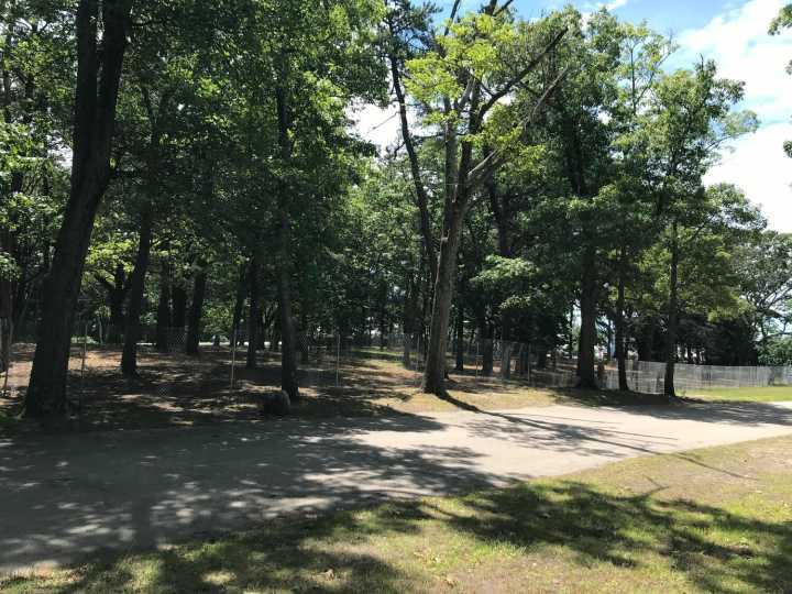 Twice as nice? Barrington considers having two dog parks