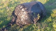 Susto en Chaco: hallan un artefacto caído del cielo y creen que es basura espacial