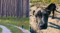 Florida Man Finds A Starving Puppy In The Forest, What He Does Next Will Warm Your Heart