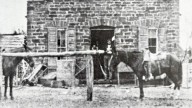 DIANE ADAMS: Chisum and L.L. Shield store in Trickham