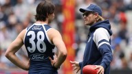 AFL 
                                                    Video
                                                  
                                                Comments
                         