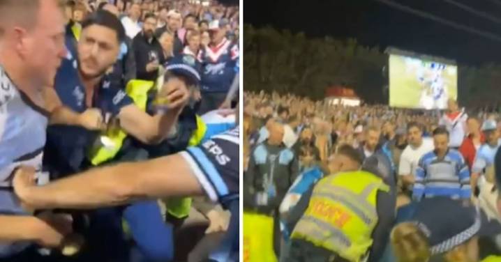 Police investigate brawling NRL fans at finals match
