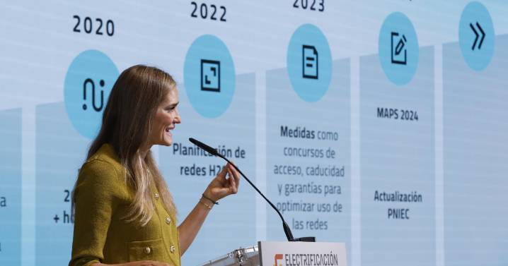El Gobierno lanza un multimillonario plan de inversiones tras desvelar las eléctricas que la red roza el colapso