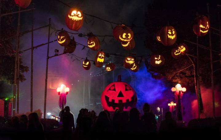 Canada’s Wonderland introduces chaperone policy for Halloween Haunt
