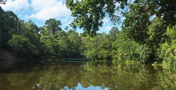 Texas Mother Of Three Accused Of Drugging And Attempting To Drown Her Kids At Pond