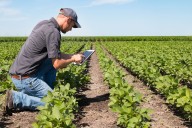 Son tres. Las estrategias que cambian los negocios del agro y ya usó con éxito uno de los principales clubes del mundo
