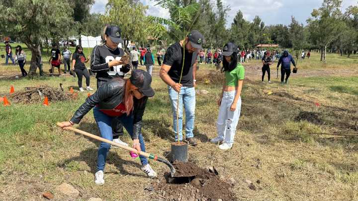 Plantan más de 400 árboles en el parque Tangamanga I
