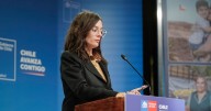 Gobierno vuelve a negar intervencionismo en elecciones presidenciales: “Hay acusaciones muy poco serias”