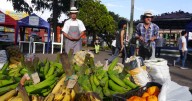 Del fogón a la plaza: el campo llega con rostro humano y una historia de amor en el mercado campesino