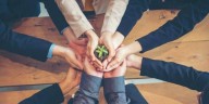 Capitalismo consciente: cómo las empresas sostenibles logran más rentabilidad y resiliencia 
