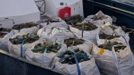 Gardacostas de Galicia decomisó 1.580 cacharros y devolvió 94 kilos de pulpo al mar entre el miércoles y el jueves en A Guarda