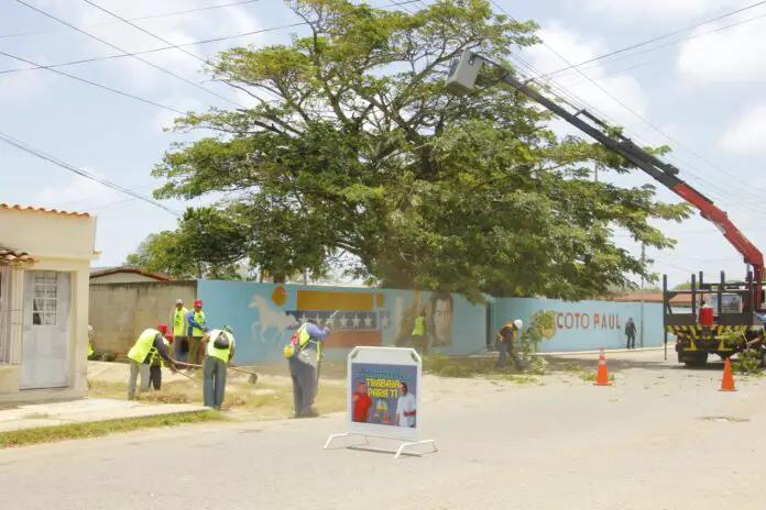 Alcaldía del municipio Falcón avanza en el mantenimiento de vías y sistemas eléctricos