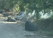 Generaron basurero  ilegal en cementerio