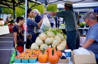 Fall festivities abound at Bloomington Community Farmers’ Market